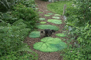 Sun Jun 07  Stepping Stone Path 260607151